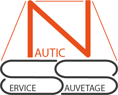 Logo NSS1